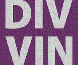 Div Vin image 3