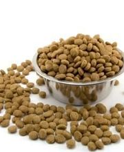 CLINIQUE VETERINAIRE DE LA VALLEE image 1