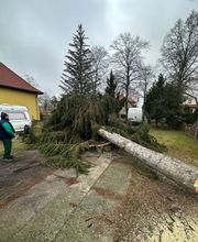 Limaj - Garten und Gebäudeservice Bild 11