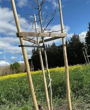 Les Jardins de Vincent image 1