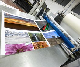 Frankenprint Bild 4