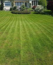 Paulos Paysagiste Sàrl Bild 6