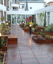 Sequoia Paysage image 15