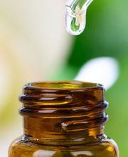 Roussot Jean-François image 1