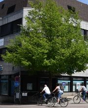 Anke Engelhardt und Gotthard Jakob - Rechtsanwälte und Notarin Bild 1