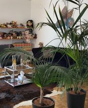 Praxis Diana Sommer Bild 3