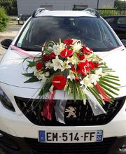 Natur & Florum image 12