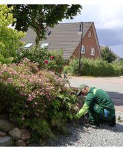 Unkraut entfernen Kiel.jpg