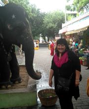 Chouquer Nathalie image 2