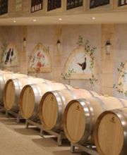 Thirot-Fournier Christian EARL image 1