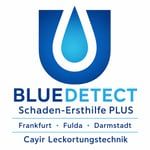 Bluedetect Frankfurt Cayir Leckortungstechnik