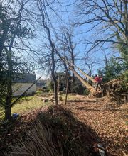 SAM EN CIMES image 1