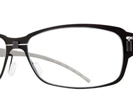 BRILLE + LINSE Bild 3