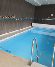 Schneider Erich Bild 6