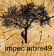 Impec'arbre 49