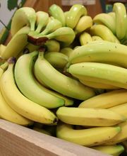 O Bio Nature Et Vie image 8