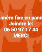 Monteyne Christine image 1