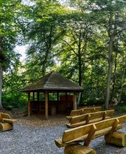 FriedWald Hasbruch Bild 12