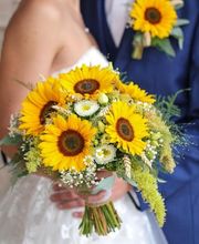 Blumen Ball GmbH Bild 4