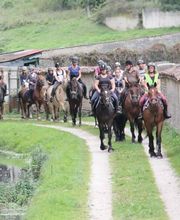 Ecuries Lalye GUILLAUMEE CHANTAL image 6