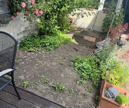 Gartenservice Henry Kleefuß Bild 1
