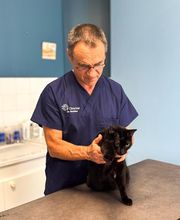 ClinicVet Vétérinaire Etrépagny image 8