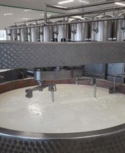 Longevilles Mont d'Or Fromagerie Arnaud image 8