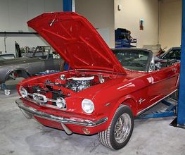 Harms - Mustang