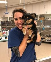 Animal Urgent Care image 4