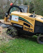 Manfred Merkl Bild 2