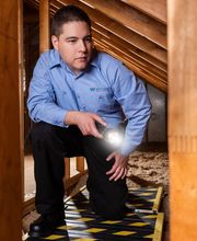 Waltham Pest Services image 9