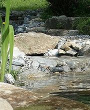 Wasser ist ein Lebenselixier