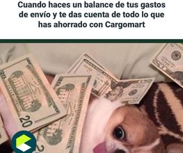 CargoMart imagen 7