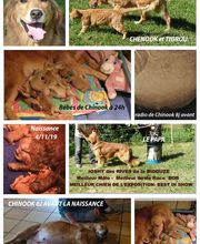 Elevage des Rives de la Bidouze image 1