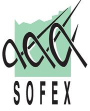 Sofex Audit Et Expertise Comptable image 1
