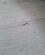 Bodenbeläge Leigeber Bild 3