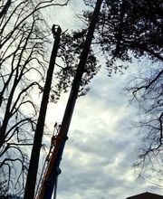 Paysage Services image 6