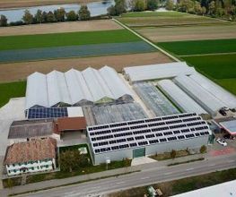 Jud Bio-Jungpflanzen AG Bild 3