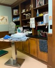 South Franklin Animal Hospital image 4