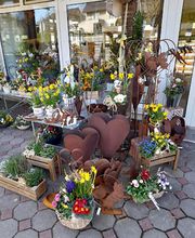 Gärtnerei Steinhilber Bild 9