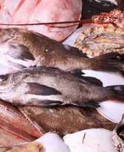 Suvarnabhumi GmbH Bild 5