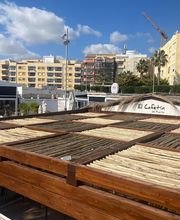 Veta Estructura imagen 12