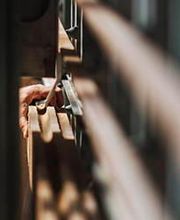 Späti Holzbau AG Bild 1