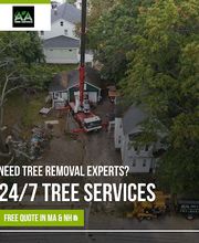 AA Tree Service image 9