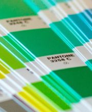 Ige Edigraphic image 1