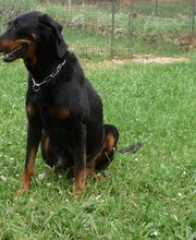 Pension De La Rosée Du Soleil image 4