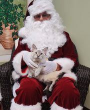 Pinetree Animal Hospital image 18