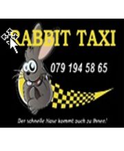 Rabbit-Taxi Bild 2