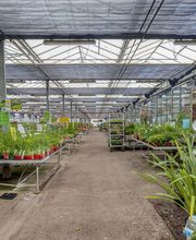 Jardins Issler image 14