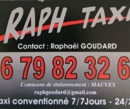 Raph Taxi image 1